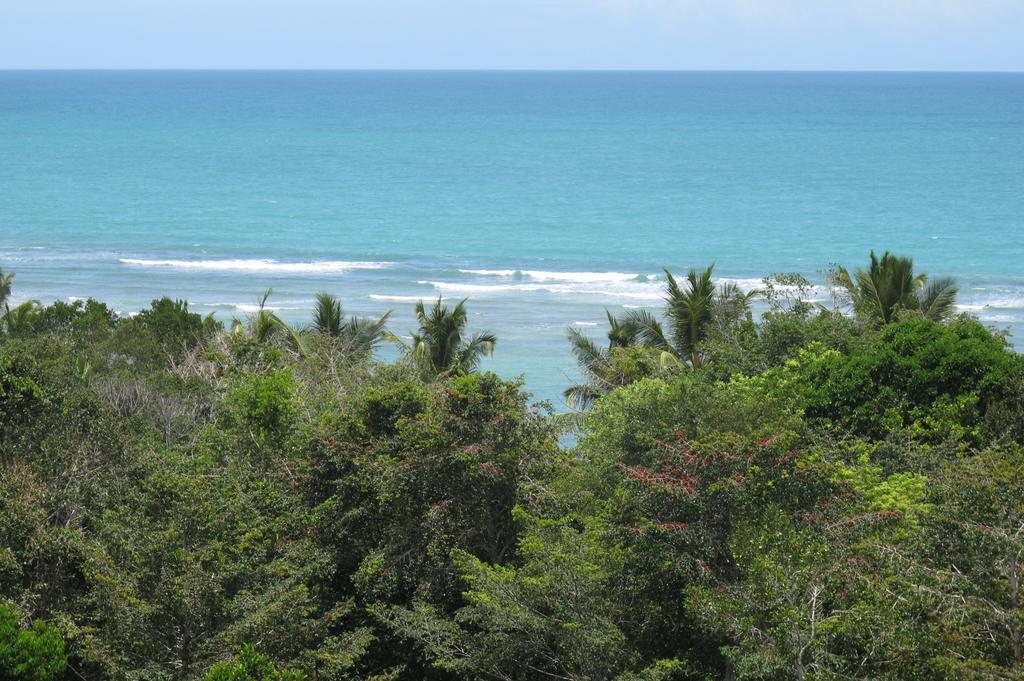 Casa Grande Sao Vicente Hotel Porto Seguro Eksteriør billede